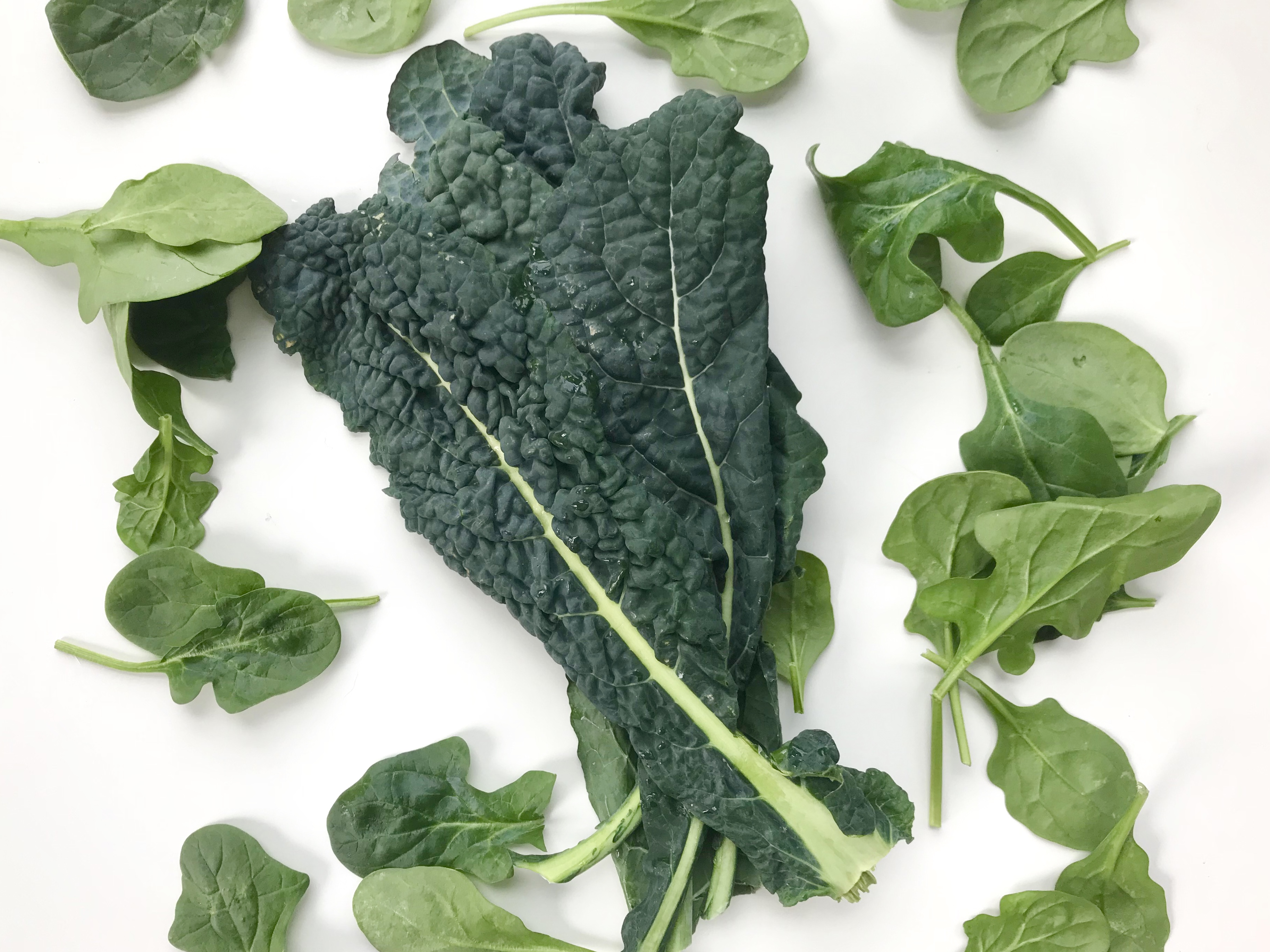 Spinach Vs Kale Which Is The Greater Green FEED